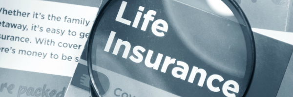 Life Insurance Asset Management | Michael Fliegelman