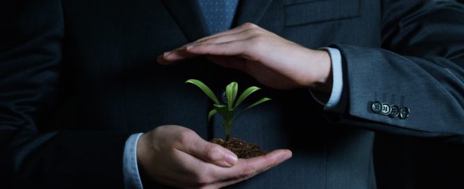 Young plant growing in the hands of an a business person.