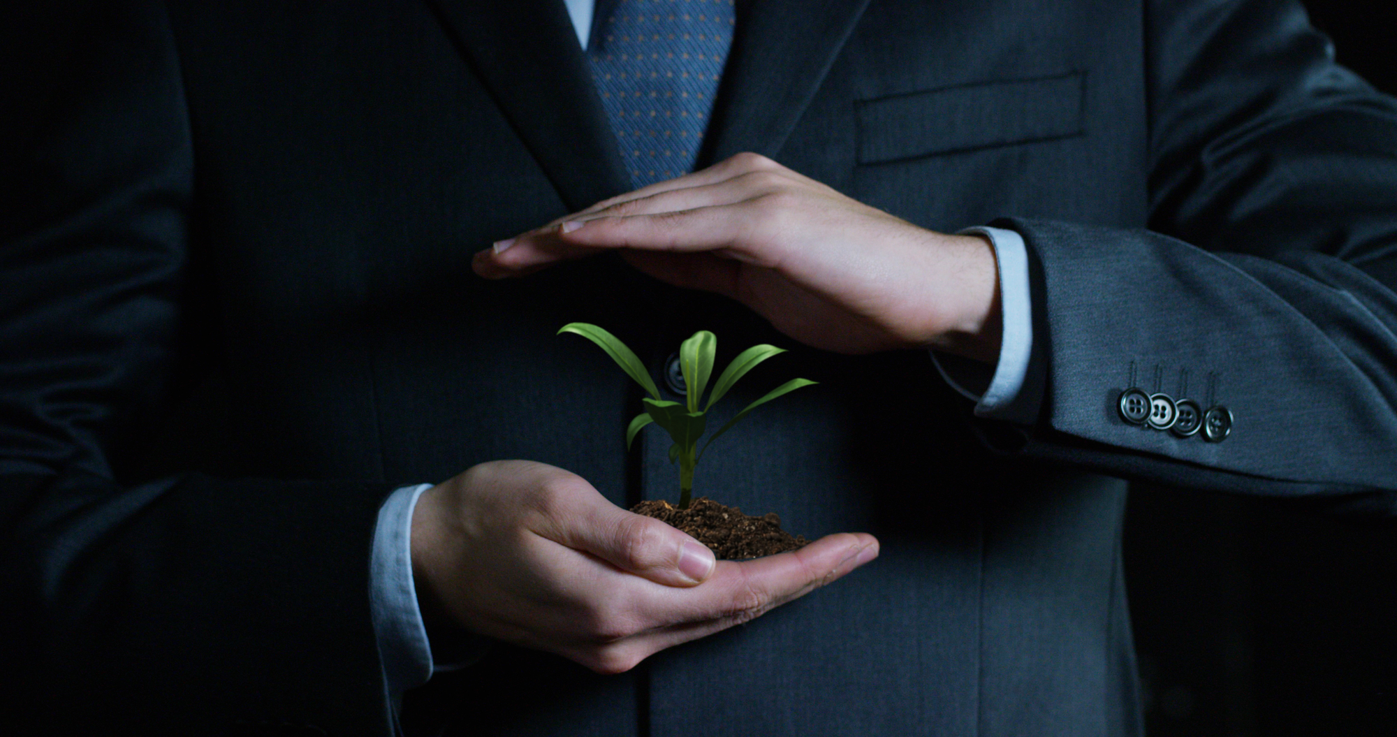 Young plant growing in the hands of an a business person.